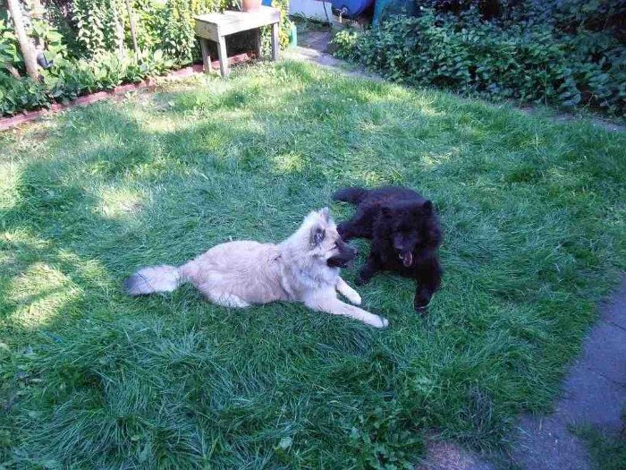 Caden und Chiara 17 Juli 2015